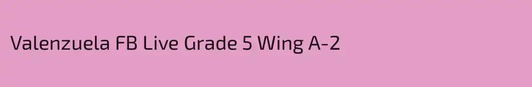 Valenzuela FB Live Grade 5 Wing A-2